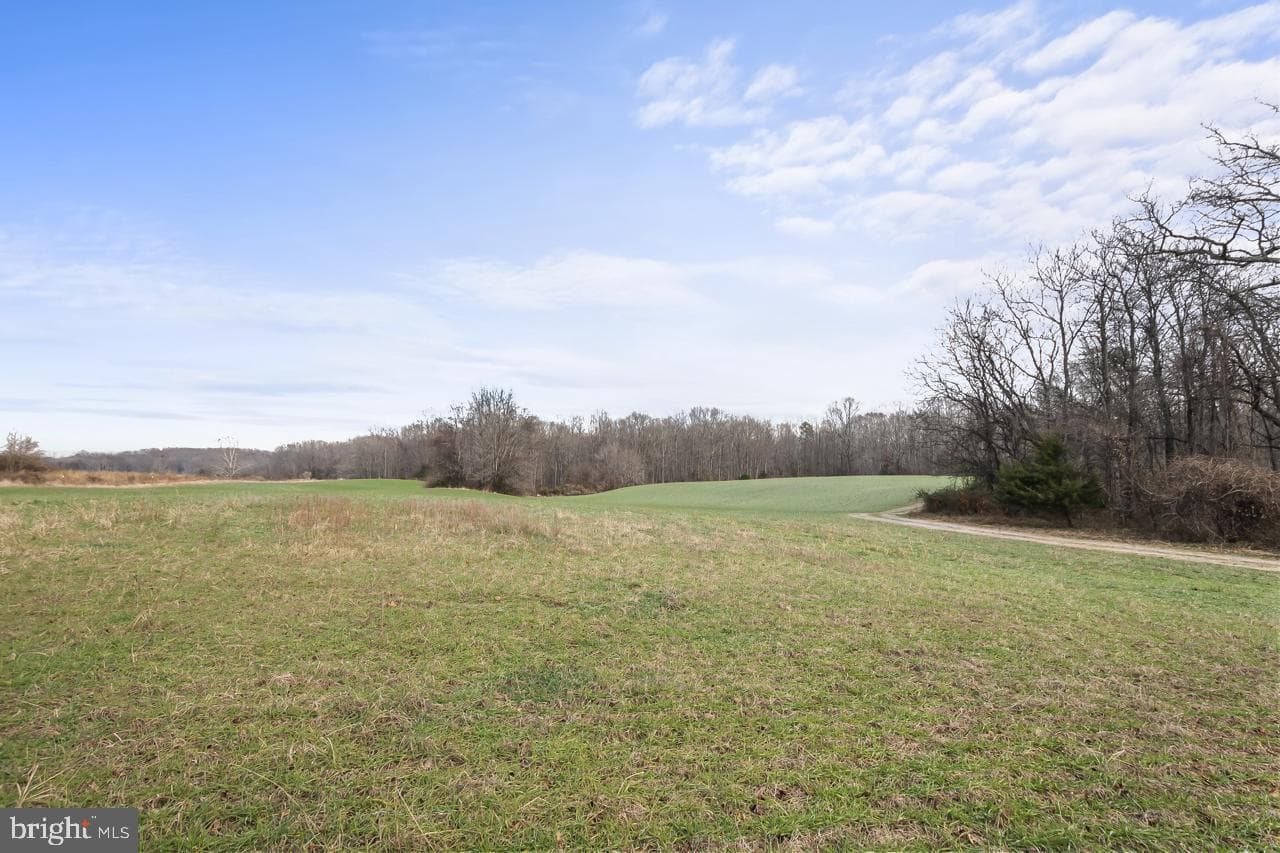 7389 Leeds Manor Road photo 3