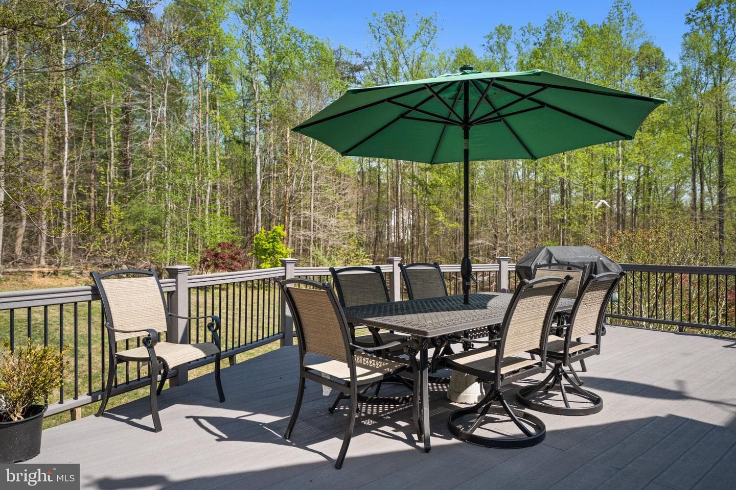 10448 Wheatley School Road photo 34