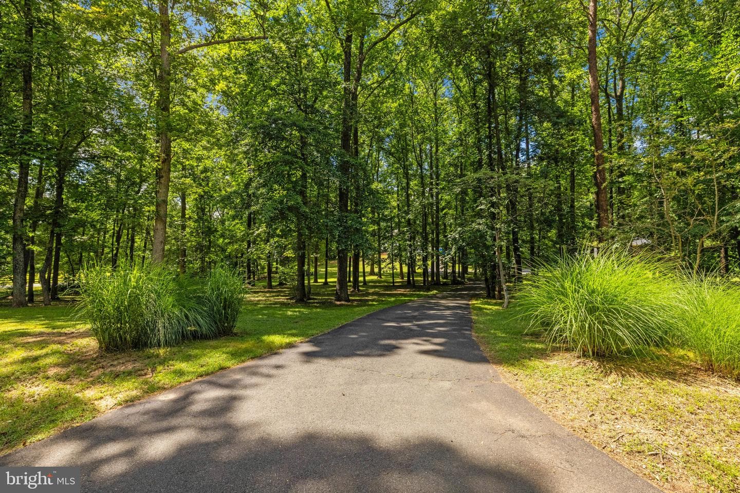 5032 Canter Lane photo 3