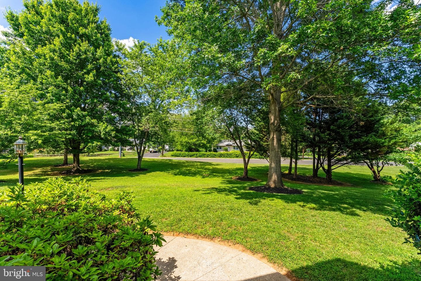 700 Fox Chase Street photo 5