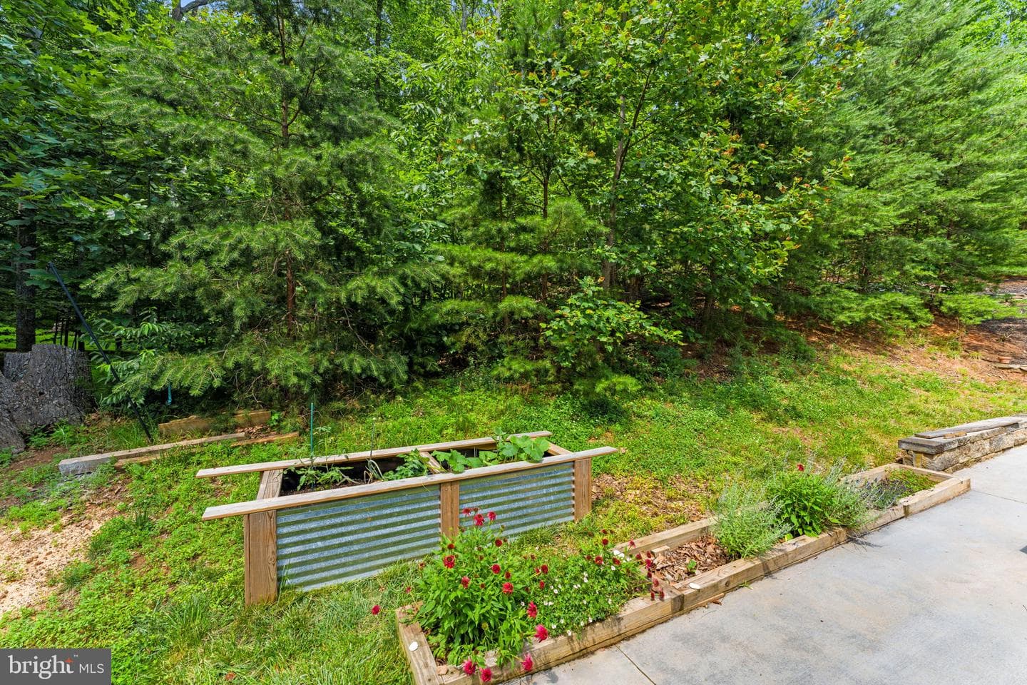 6688 Kelly Road photo 42