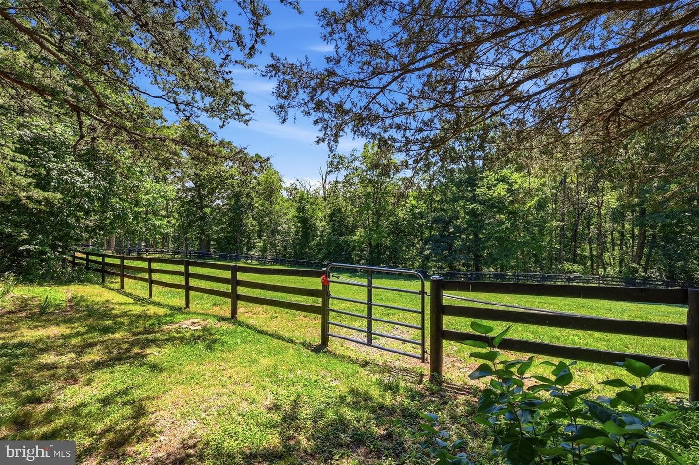 5221 Mountain View Drive photo 33