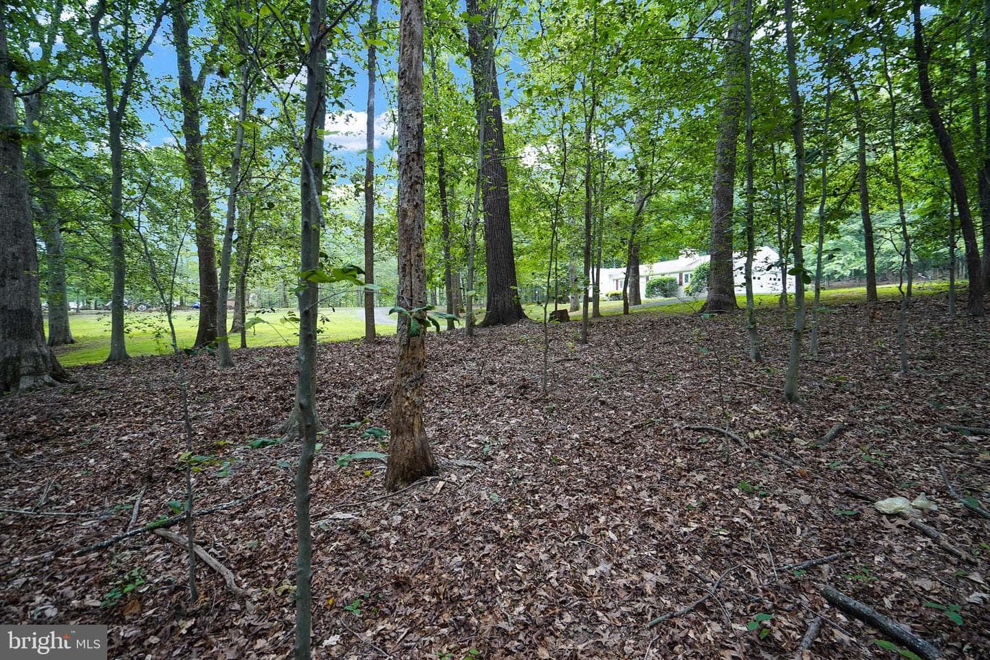 6067 Pilgrims Rest Road photo 56