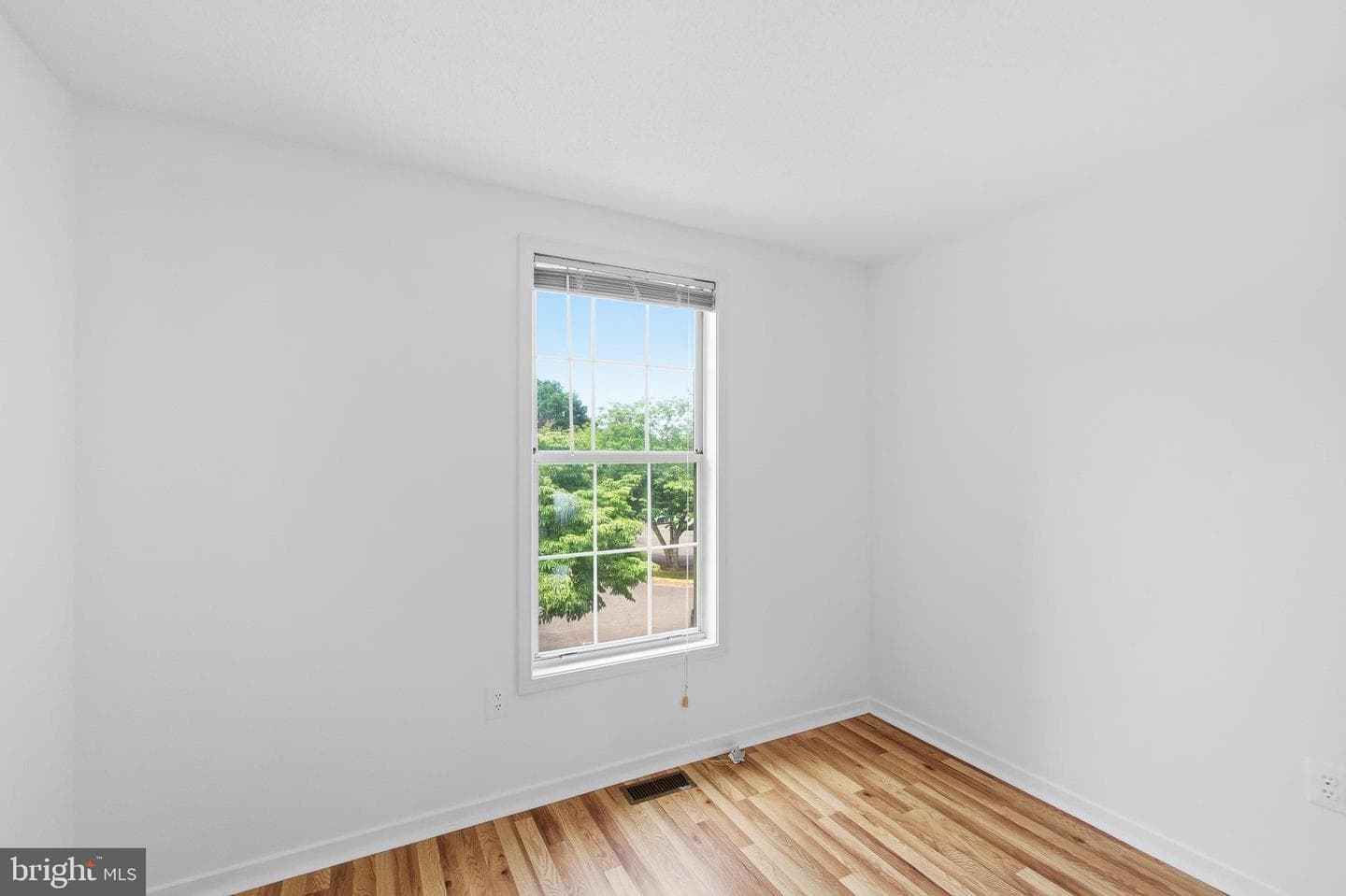 Oak Leaf Court photo 13