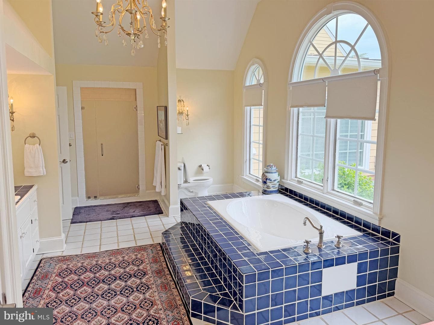 10590 Mountain Shadow Lane photo 12