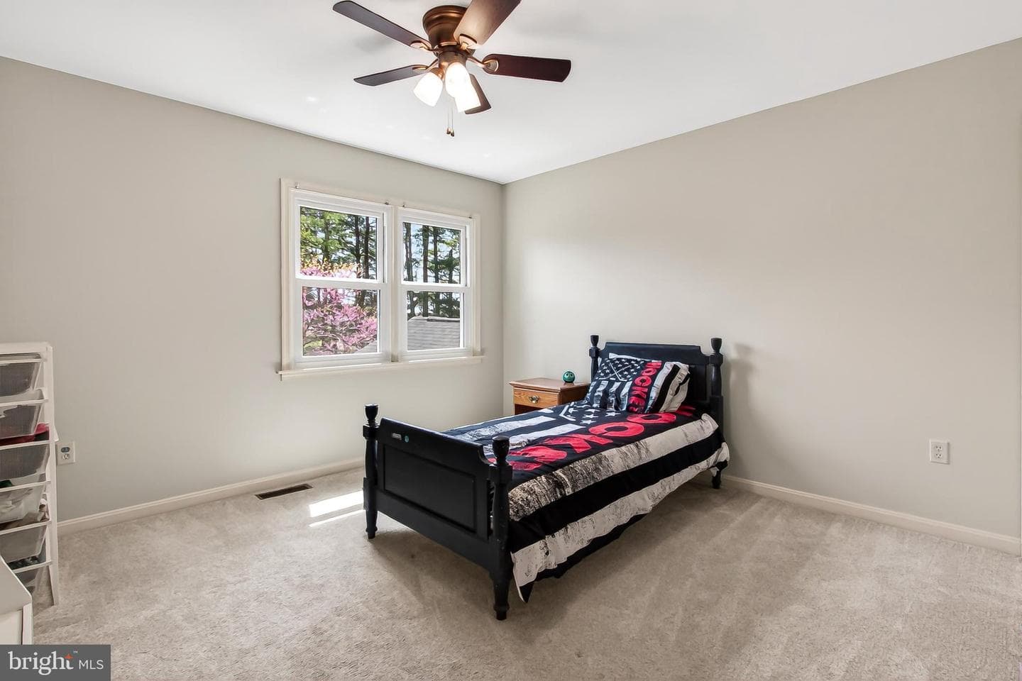 4809 Old Chapel Road photo 44