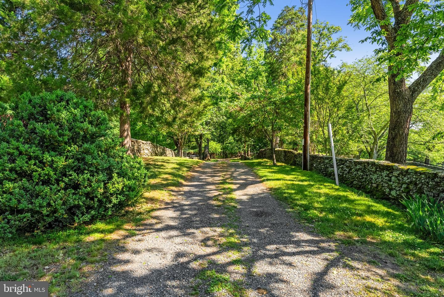 6143 Coon Tree Road photo 109