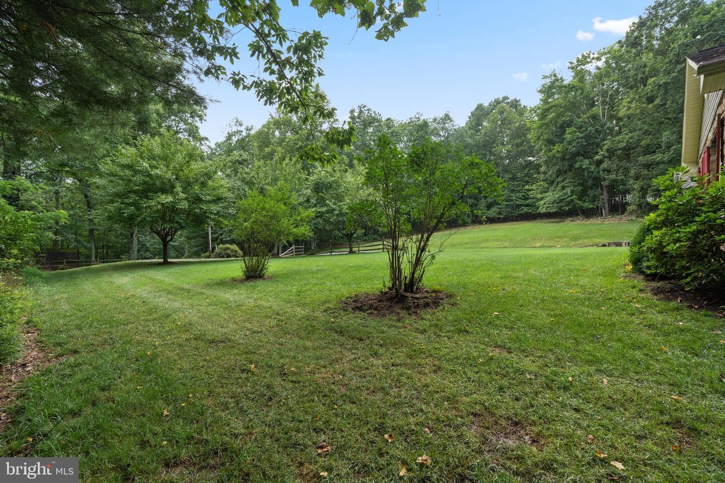 9808 Timber Heights photo 69