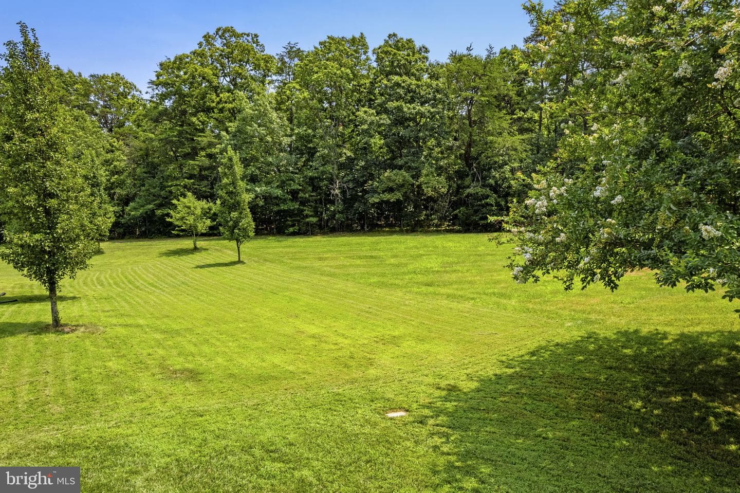 4025 Wilkes Court photo 63