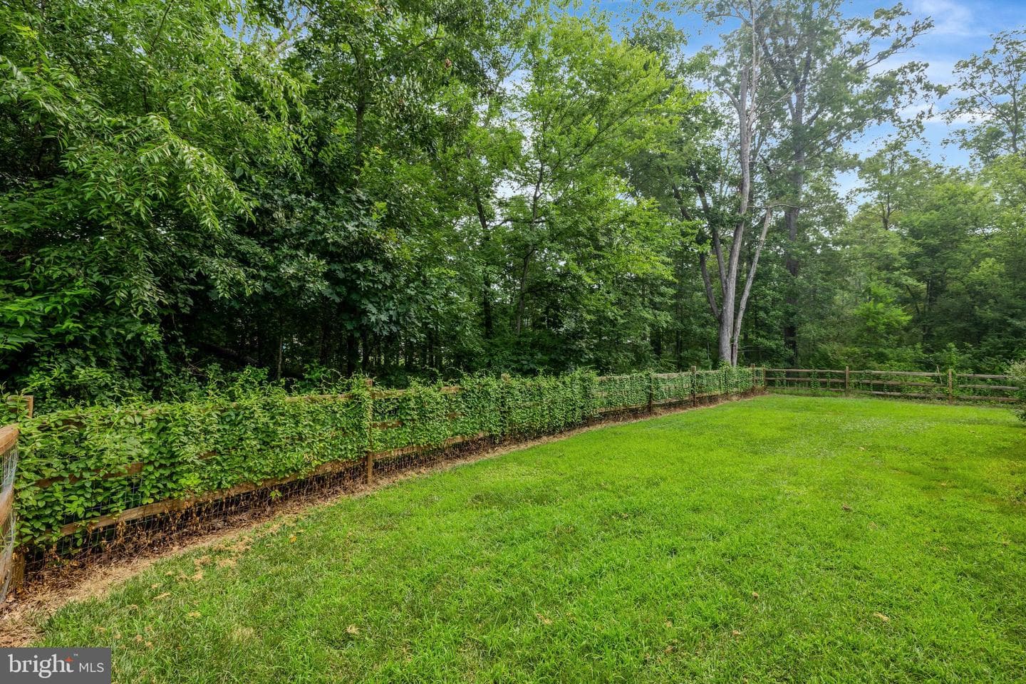 11383 Lucky Hill Road photo 51