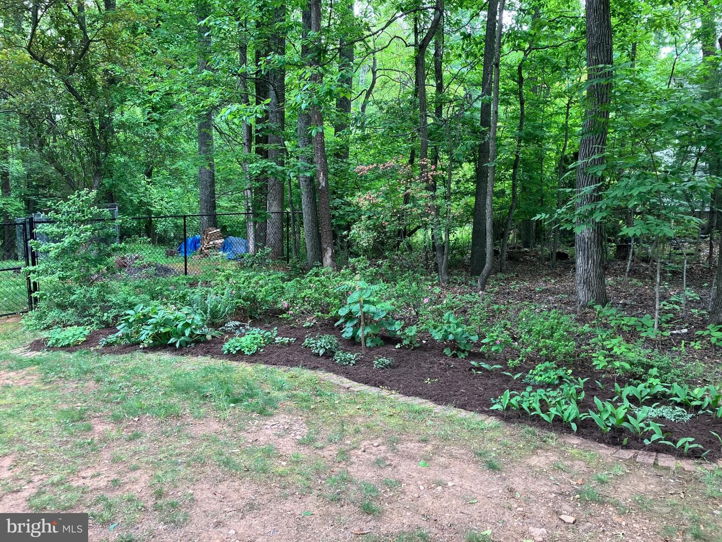7237 Baldwin Ridge Road photo 53