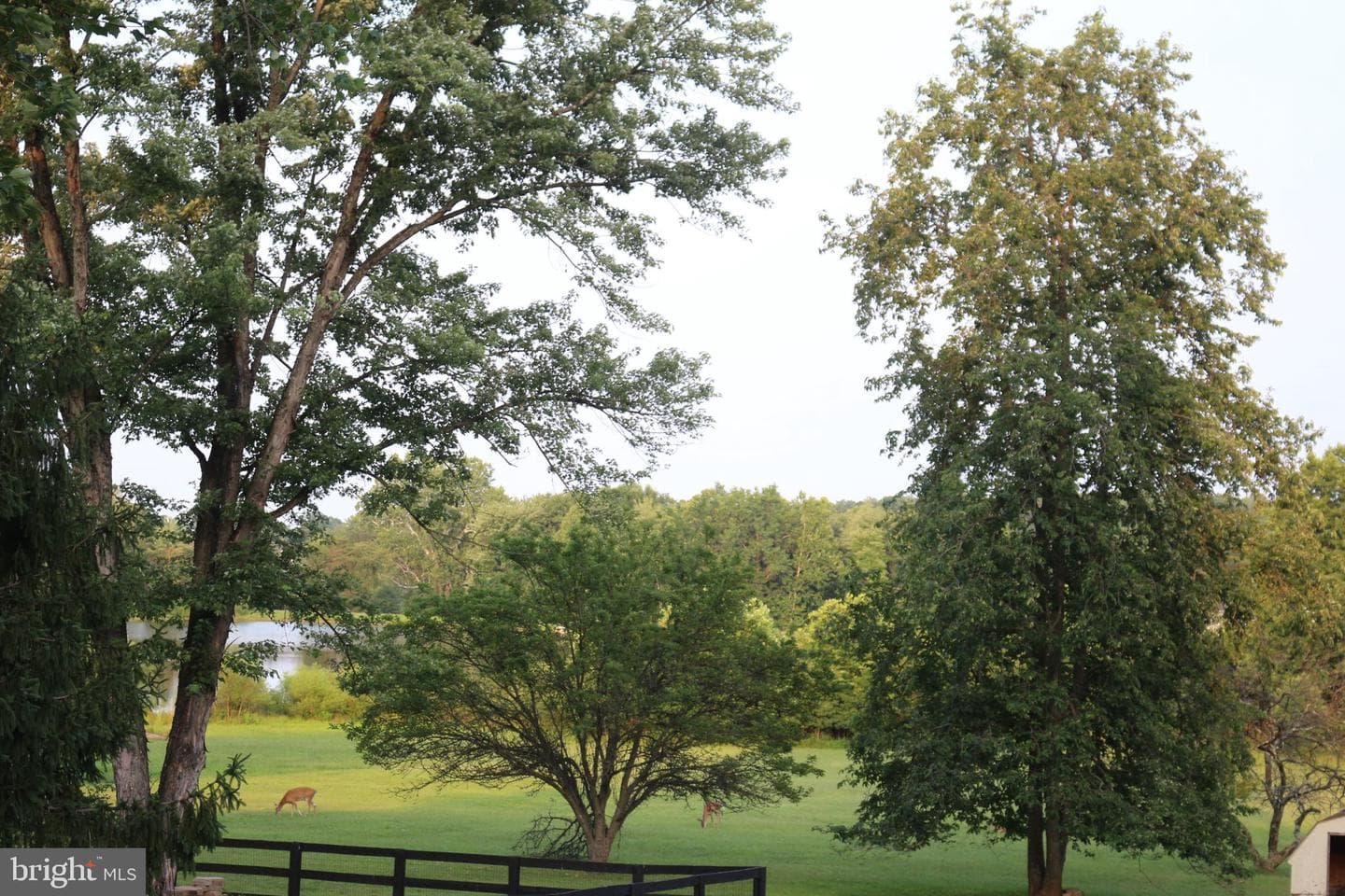 6793 Riley Road photo 2
