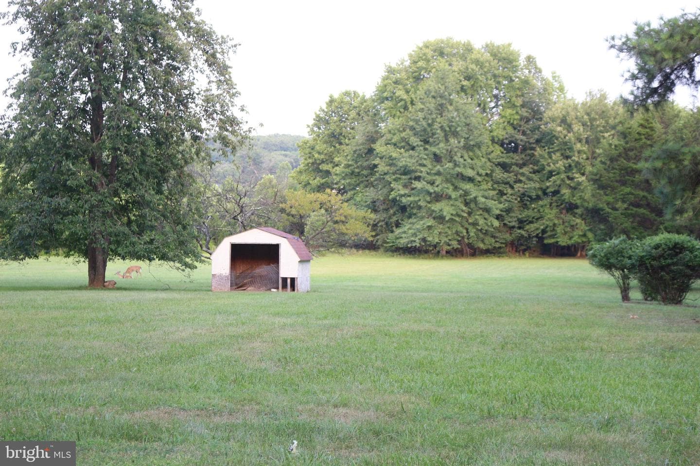 6793 Riley Road photo 4