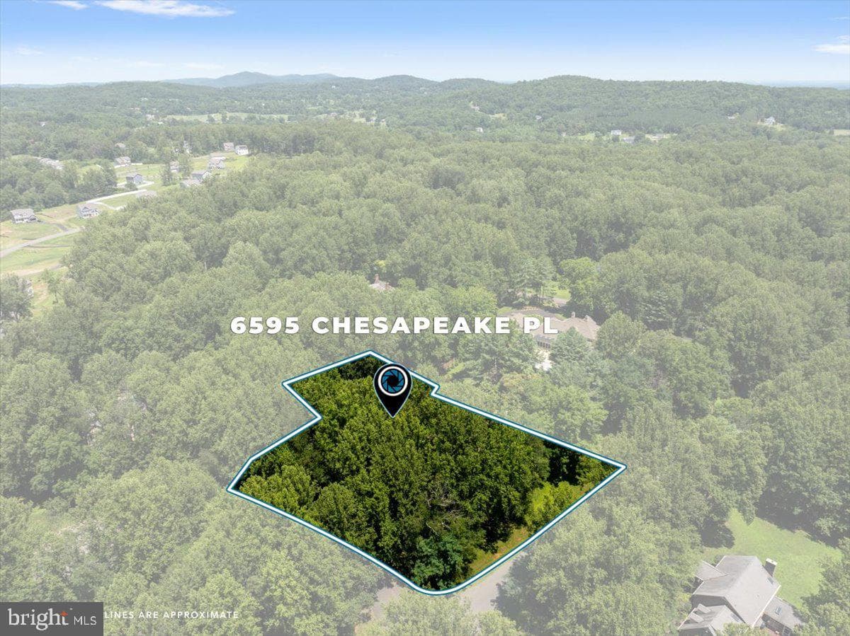 6595 Chesapeake Place photo 94