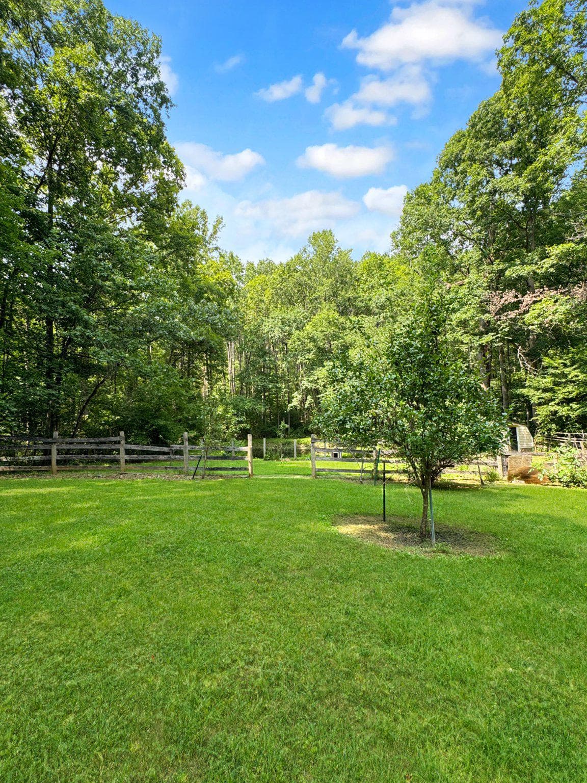 4490 Silver Hill Court photo 28