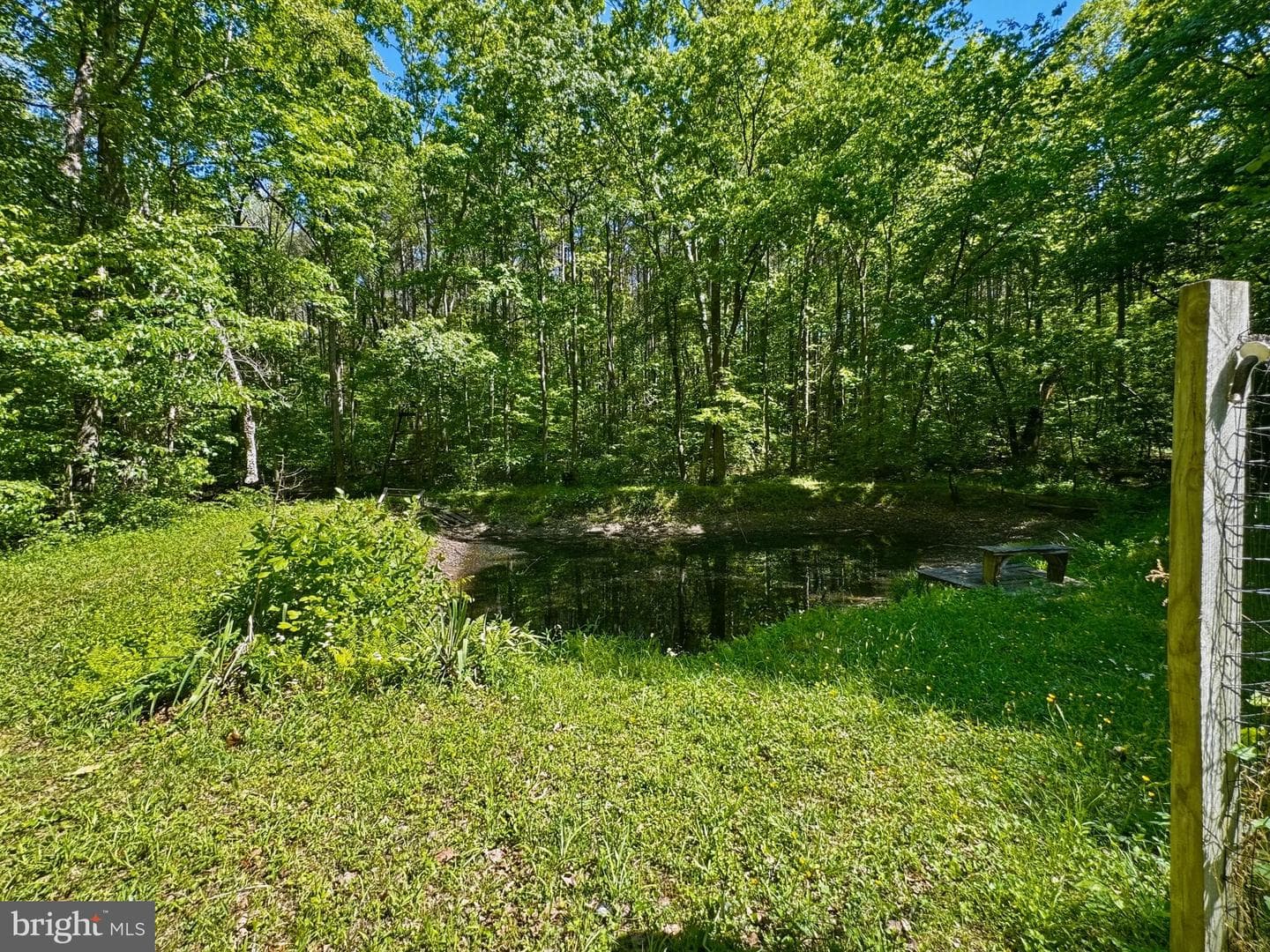 4490 Silver Hill Court photo 29