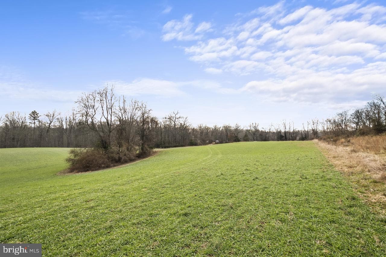 7389 Leeds Manor Road photo 10
