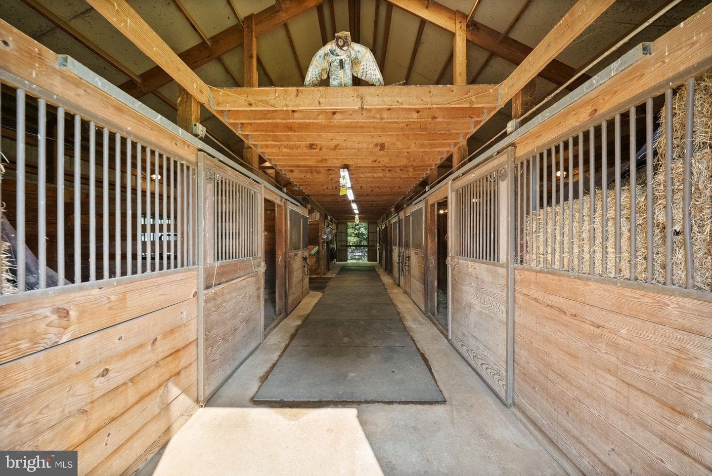 9551 Green Road photo 69