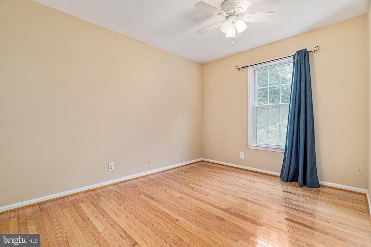 61 Pepper Tree Court photo 18