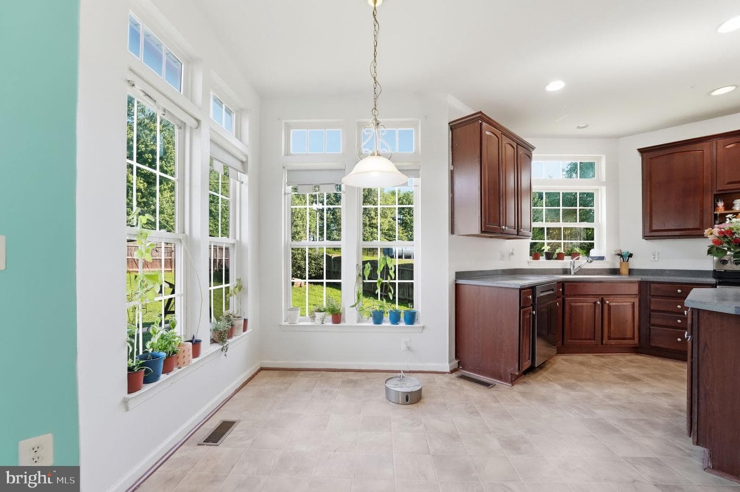 6678 Clarkes Meadow Drive photo 20