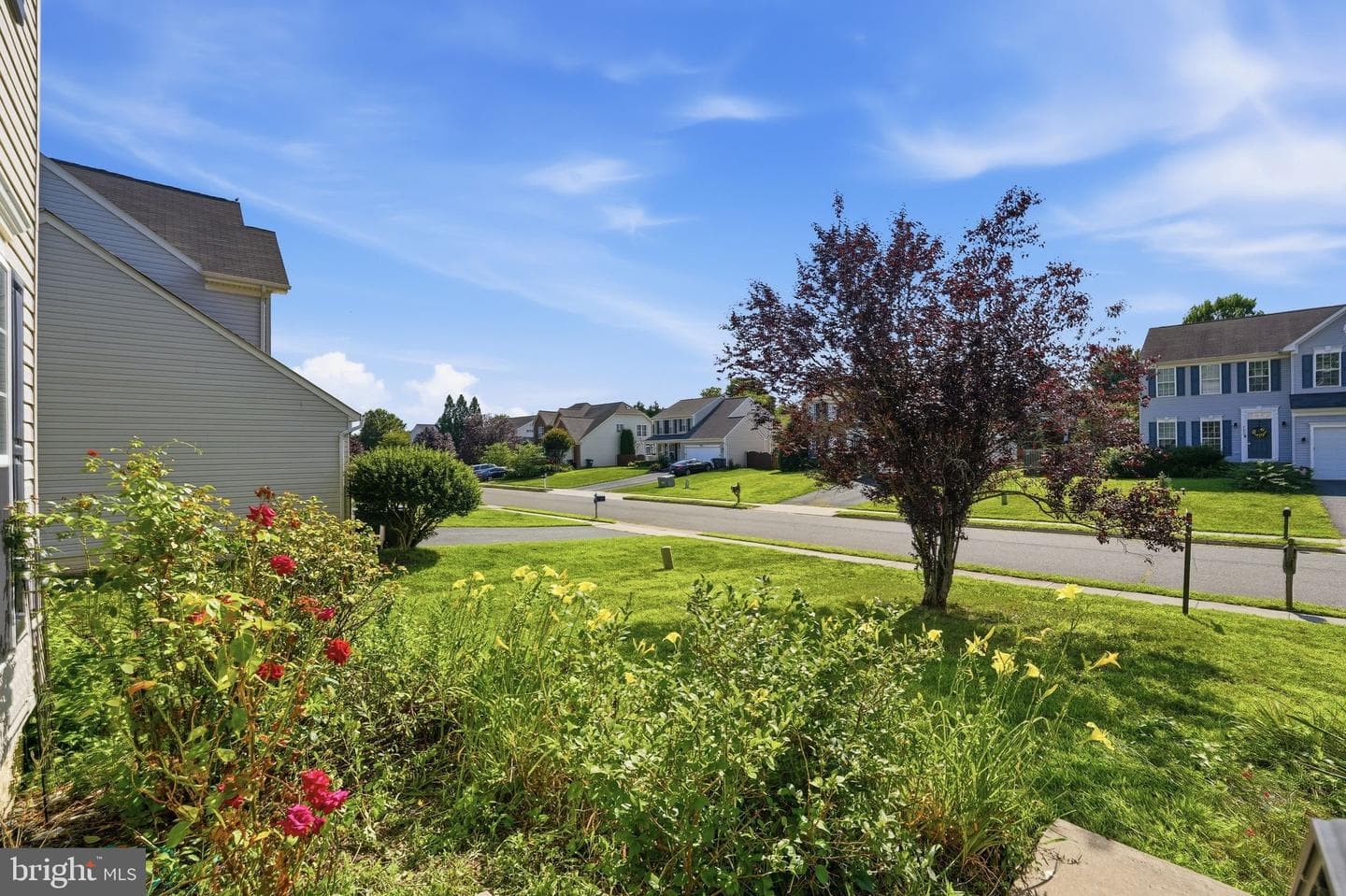 6678 Clarkes Meadow Drive photo 4