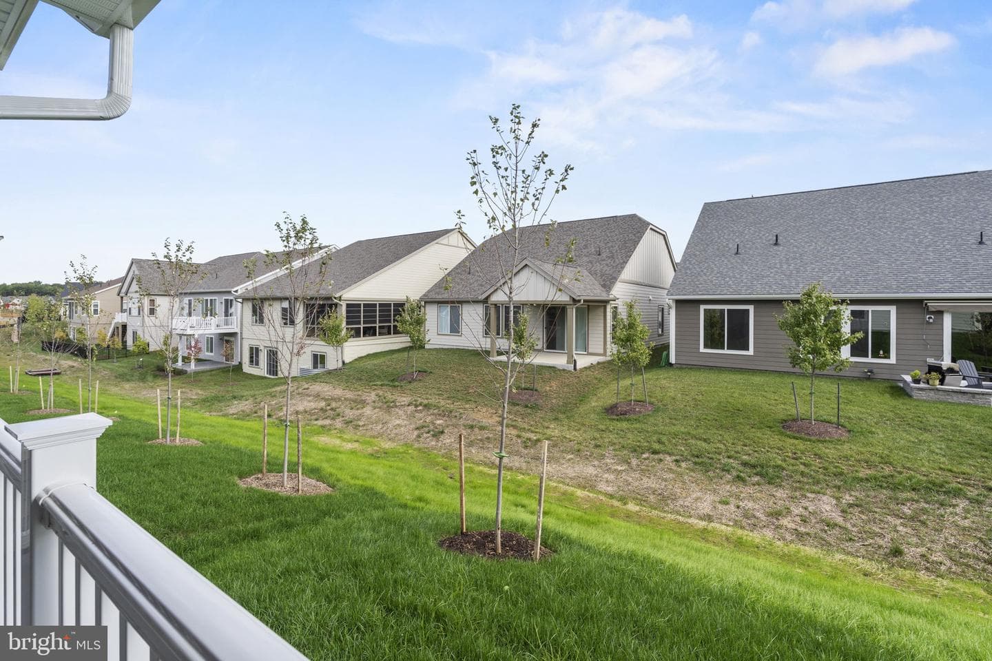 133 Cowbird Street photo 31