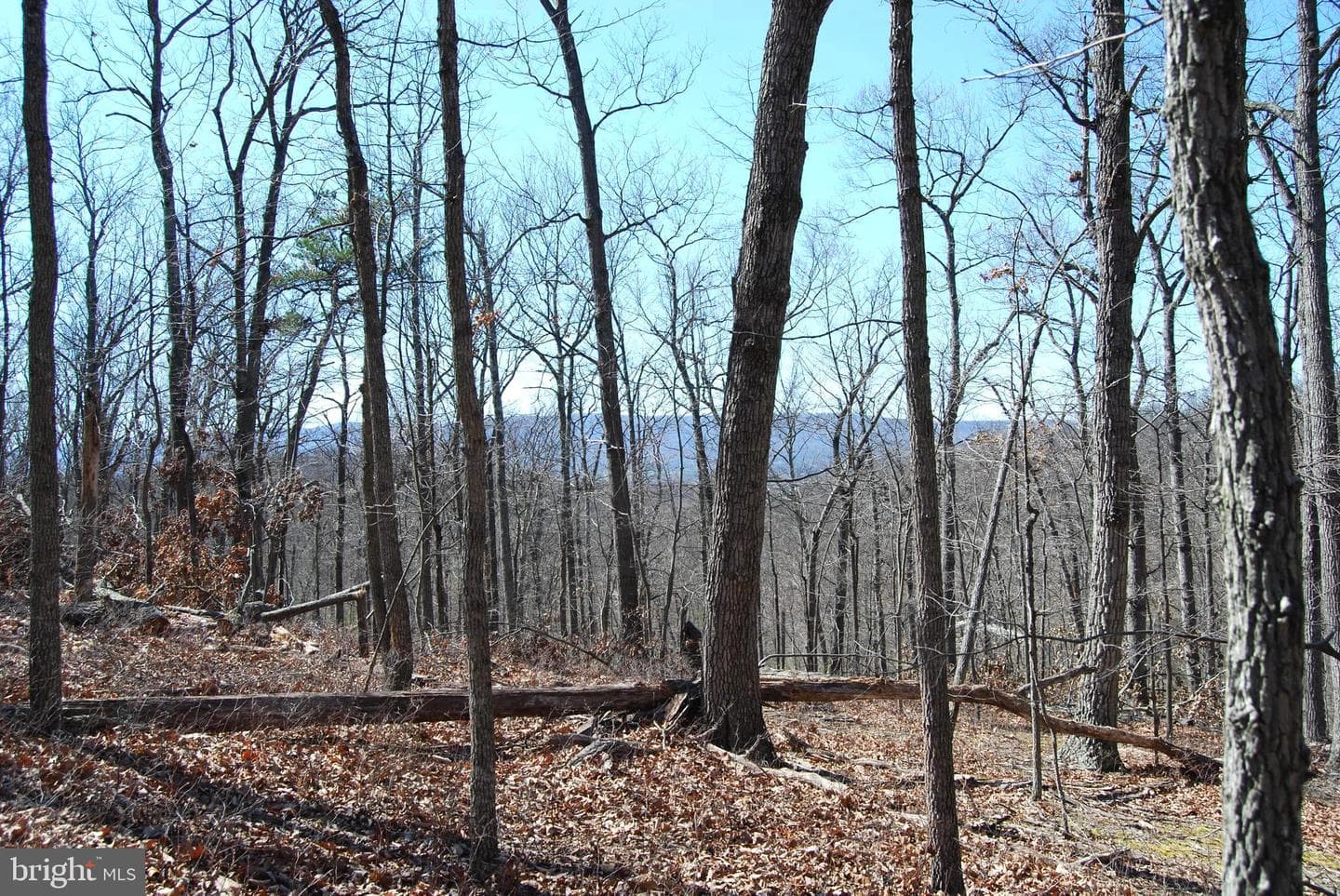989 Valley View Drive photo 2