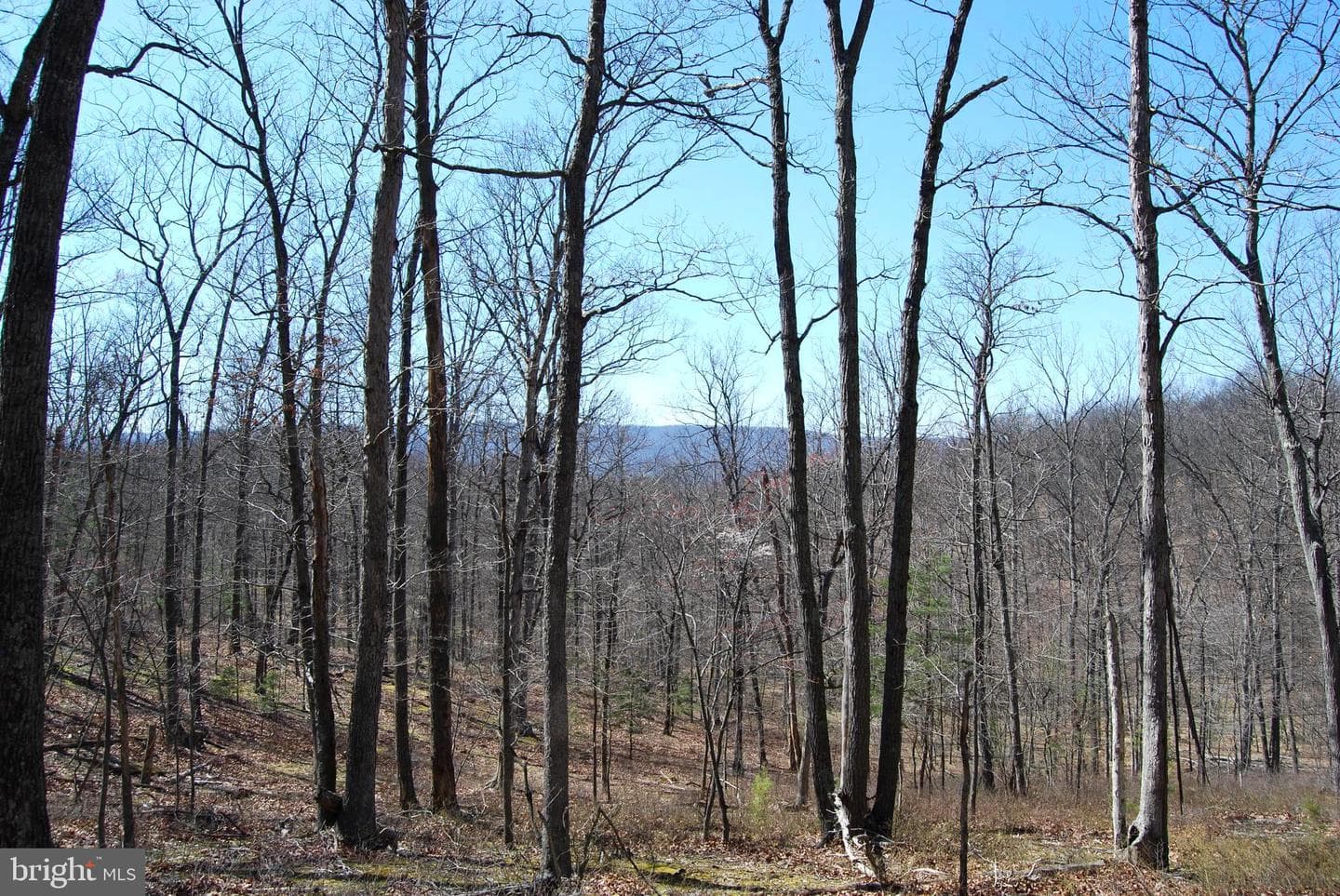 989 Valley View Drive photo 4