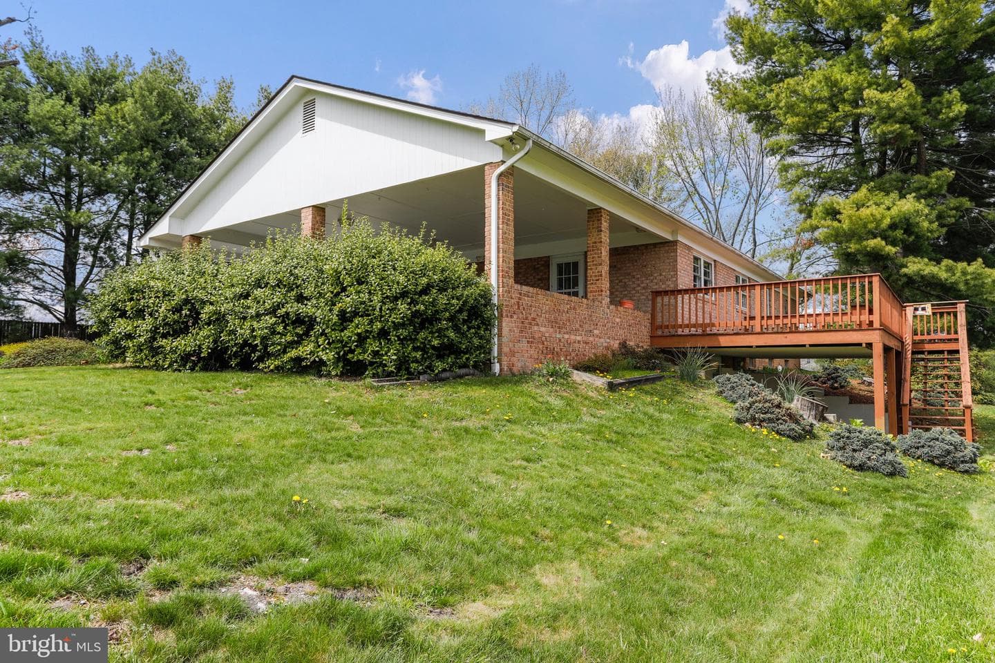 183 Vine Lane photo 20