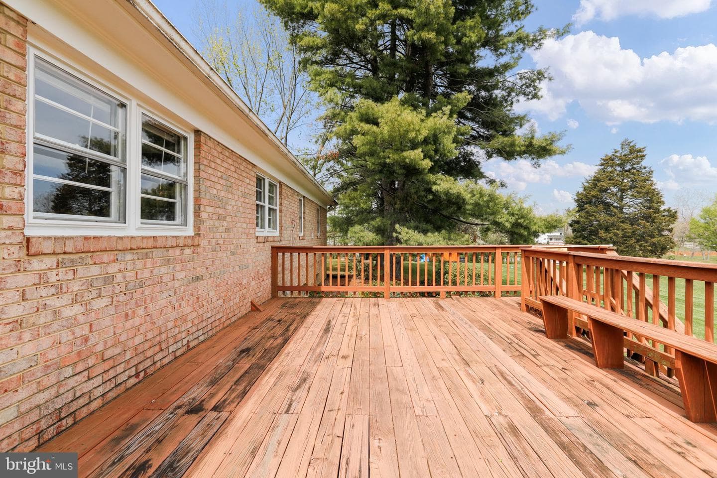 183 Vine Lane photo 21