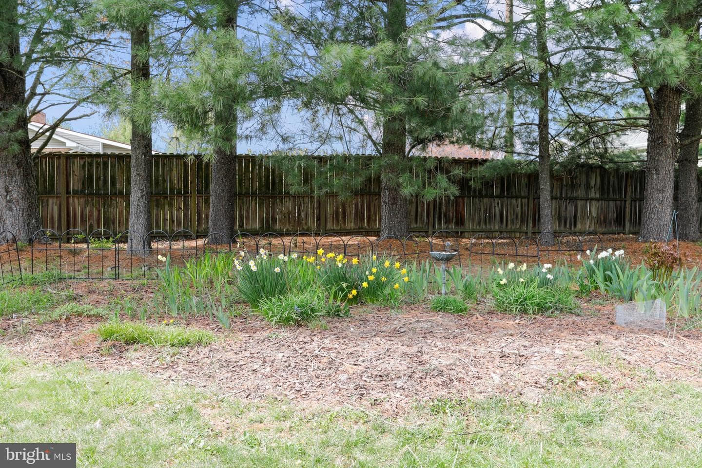 183 Vine Lane photo 22