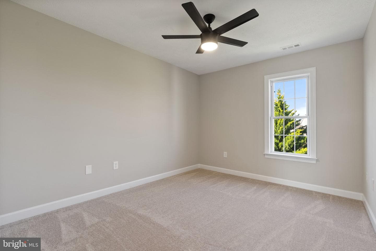 207 Clydesdale Drive photo 35