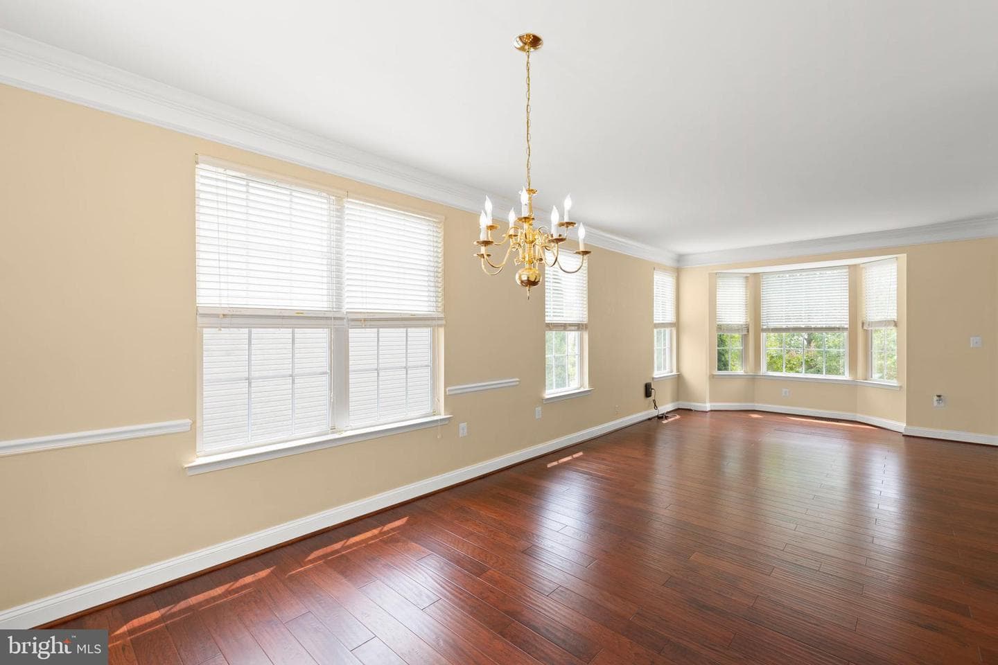 204 Rebecca Drive photo 11