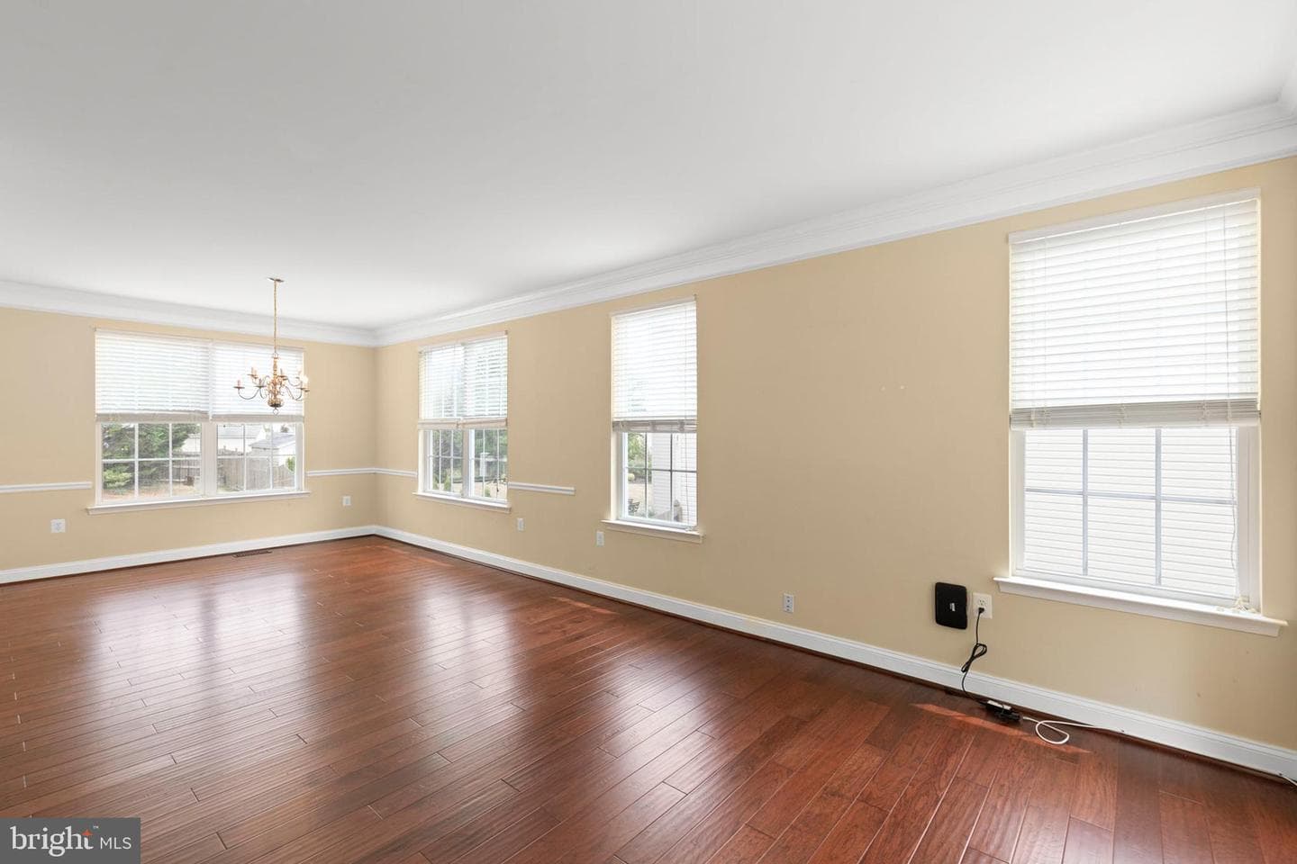 204 Rebecca Drive photo 22