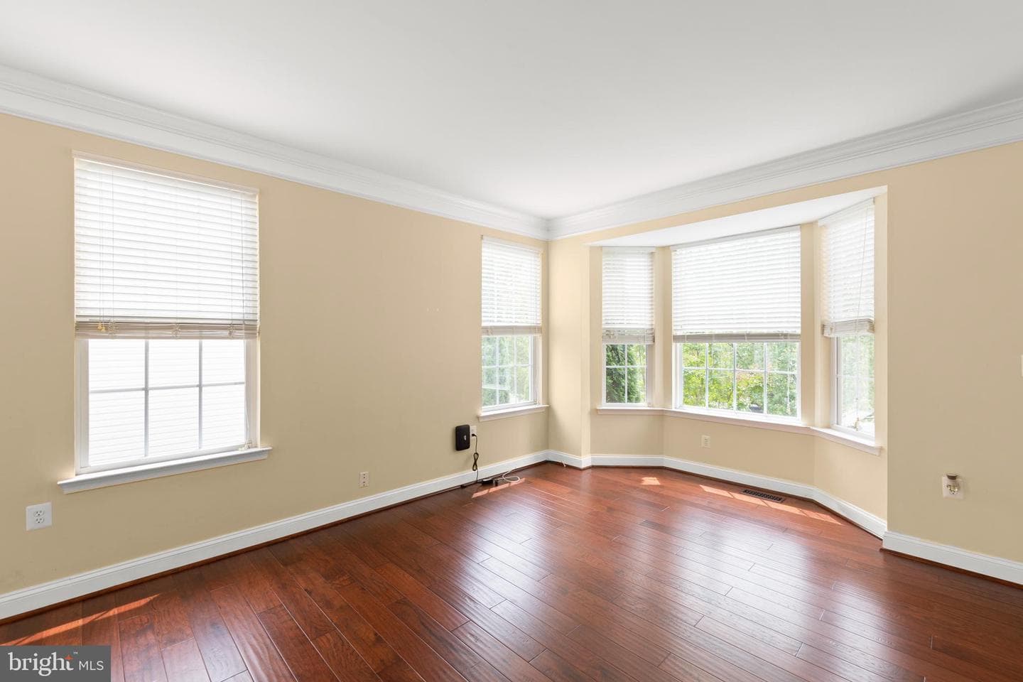 204 Rebecca Drive photo 8