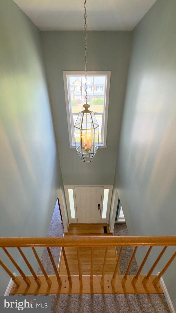 113 Mackenzie Lane photo 30