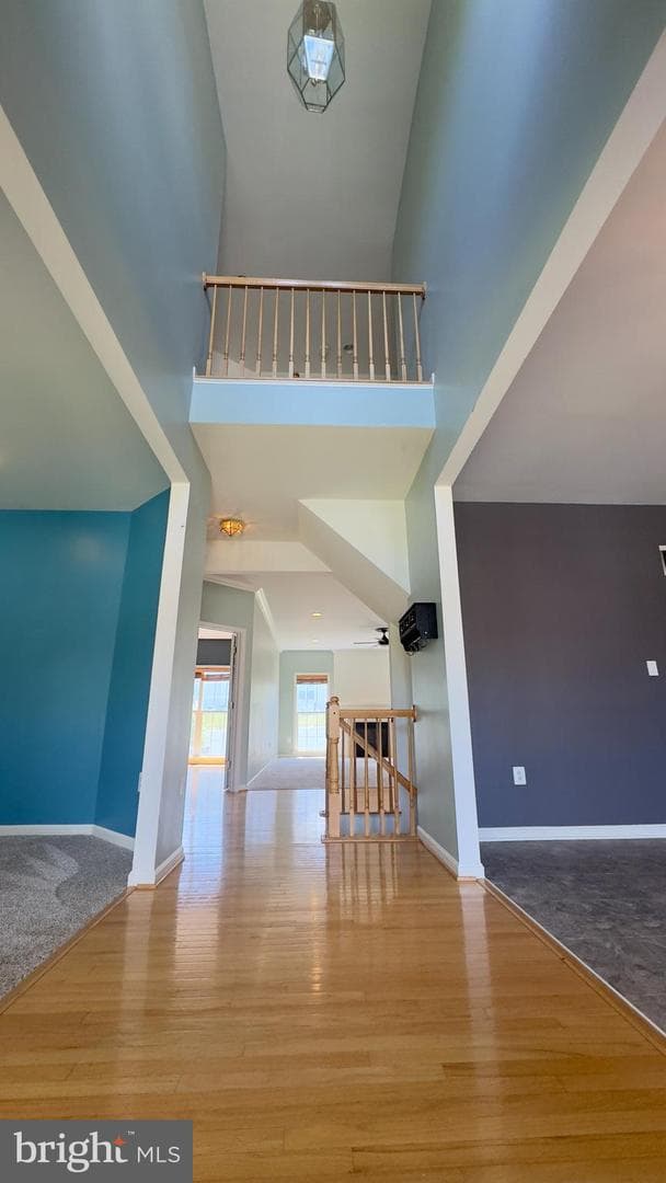 113 Mackenzie Lane photo 31