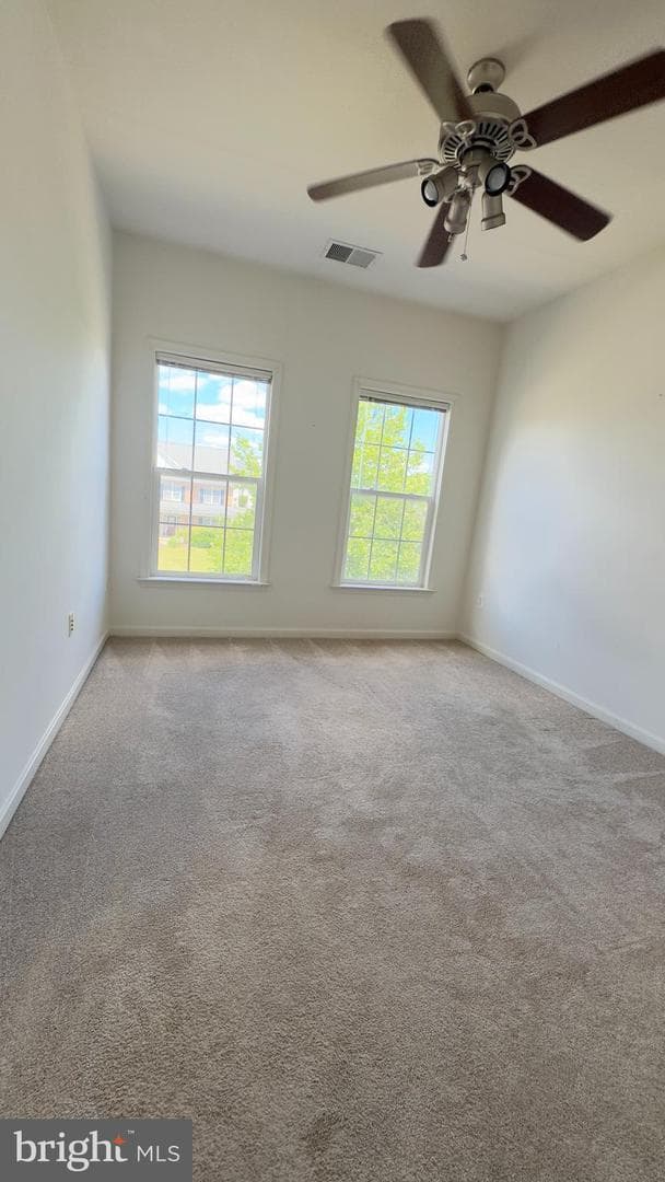 113 Mackenzie Lane photo 38