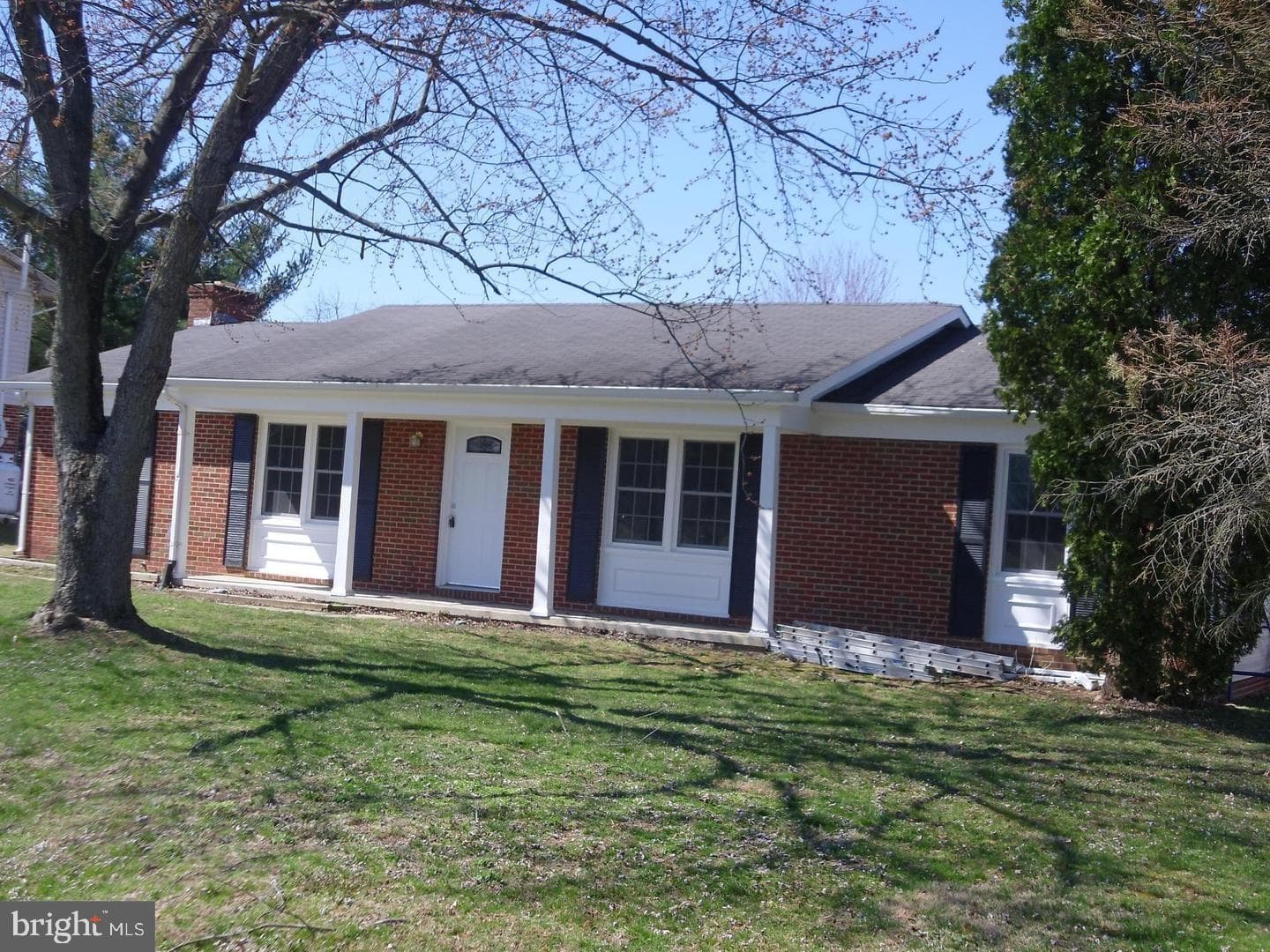 110 Amelia Avenue photo 2