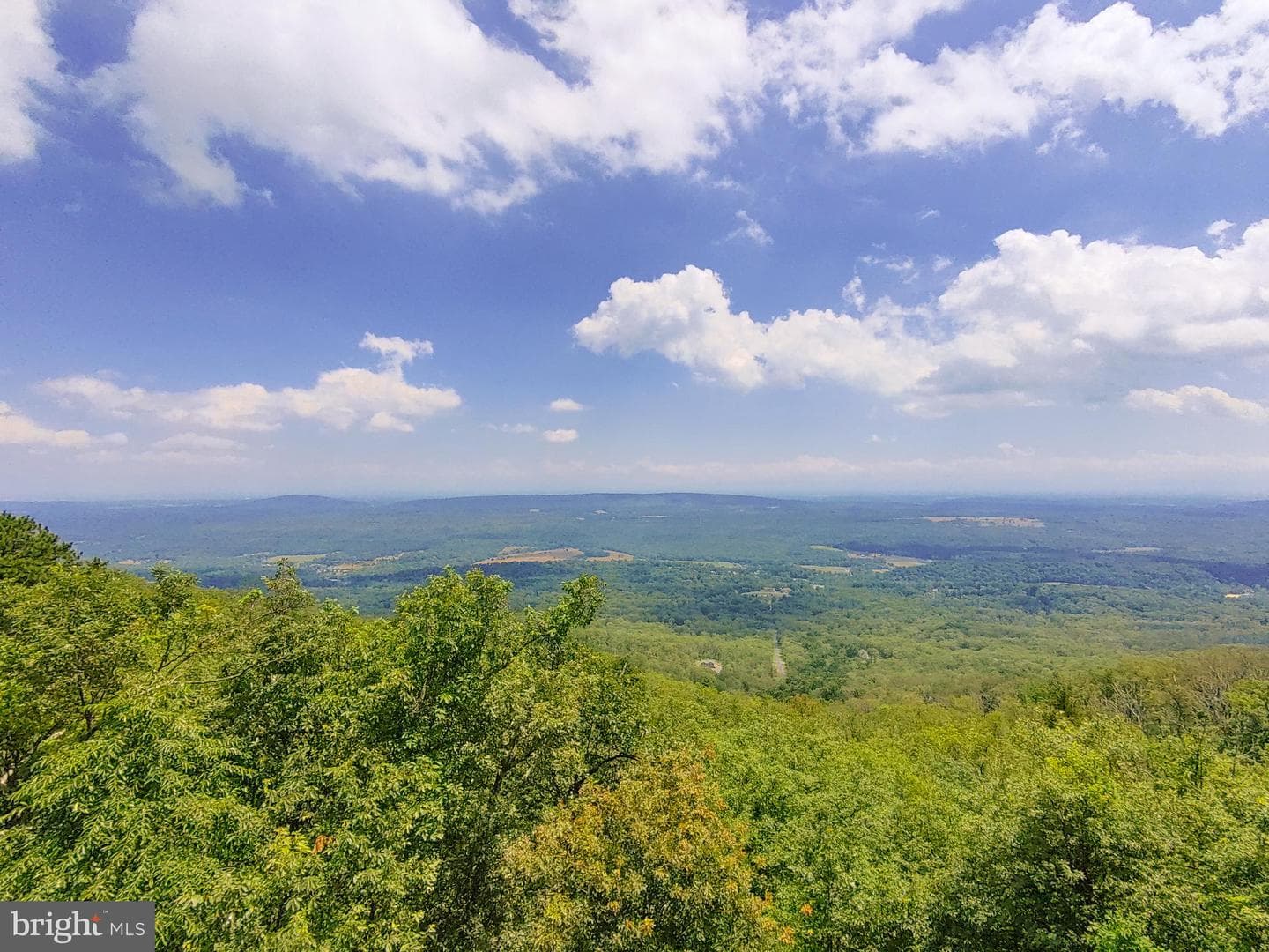 118 Wolf Spring Trail photo 1