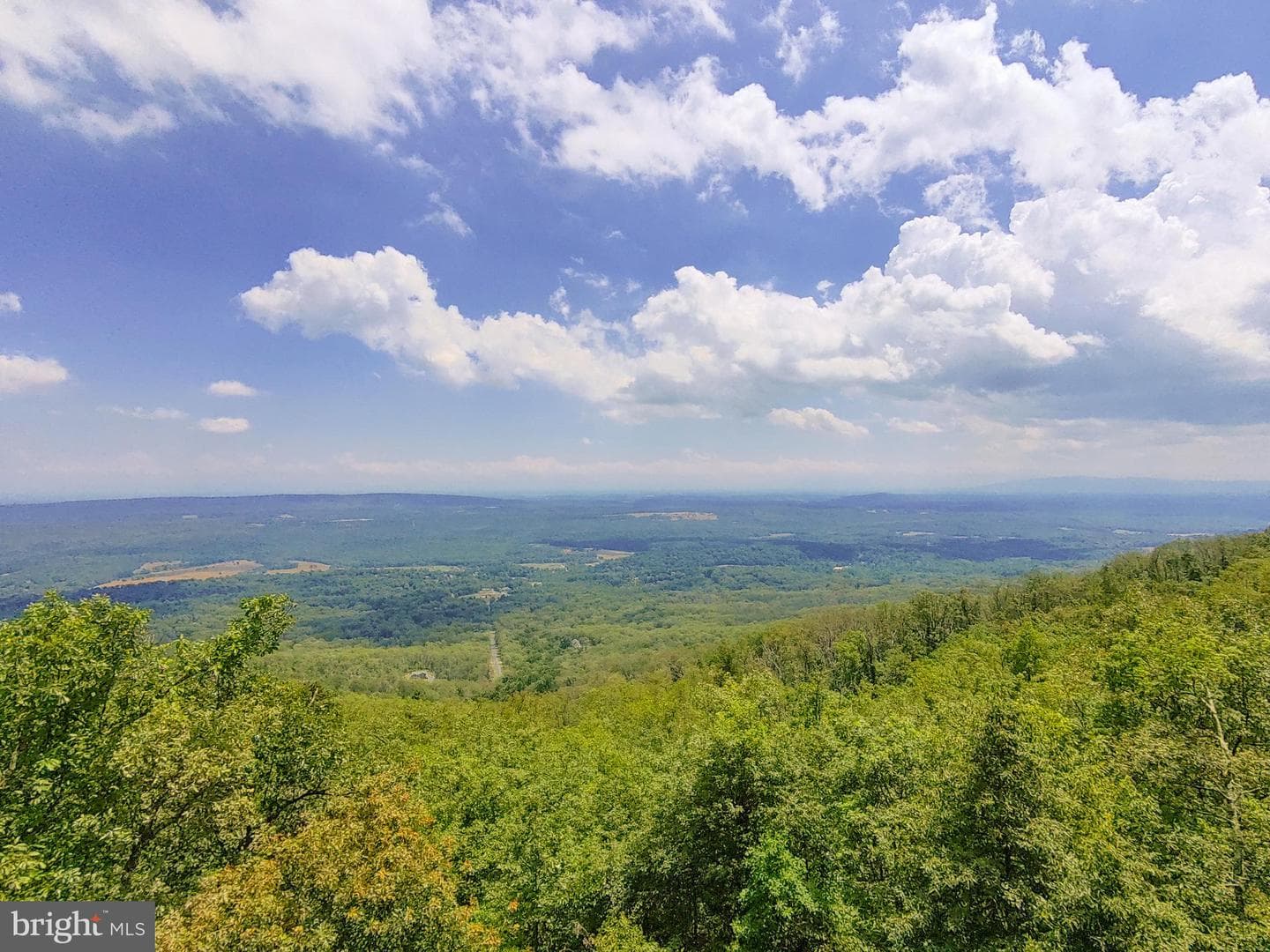 118 Wolf Spring Trail photo 49