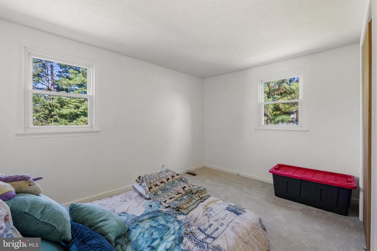 173 Sanctuary Drive photo 14