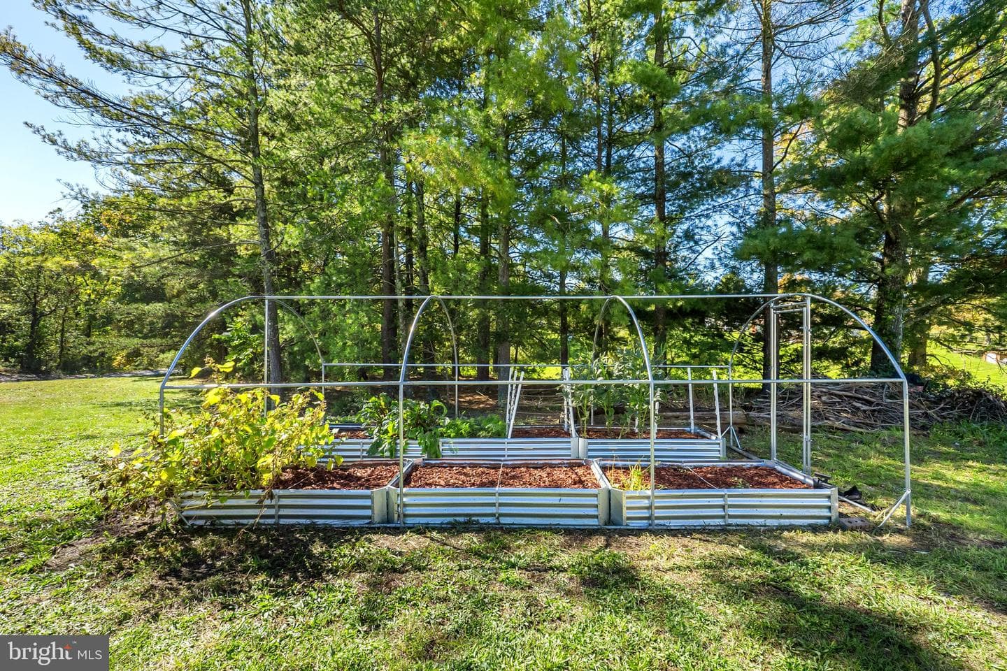 173 Sanctuary Drive photo 32