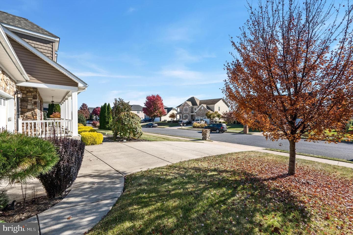 234 Summerfield Drive photo 48