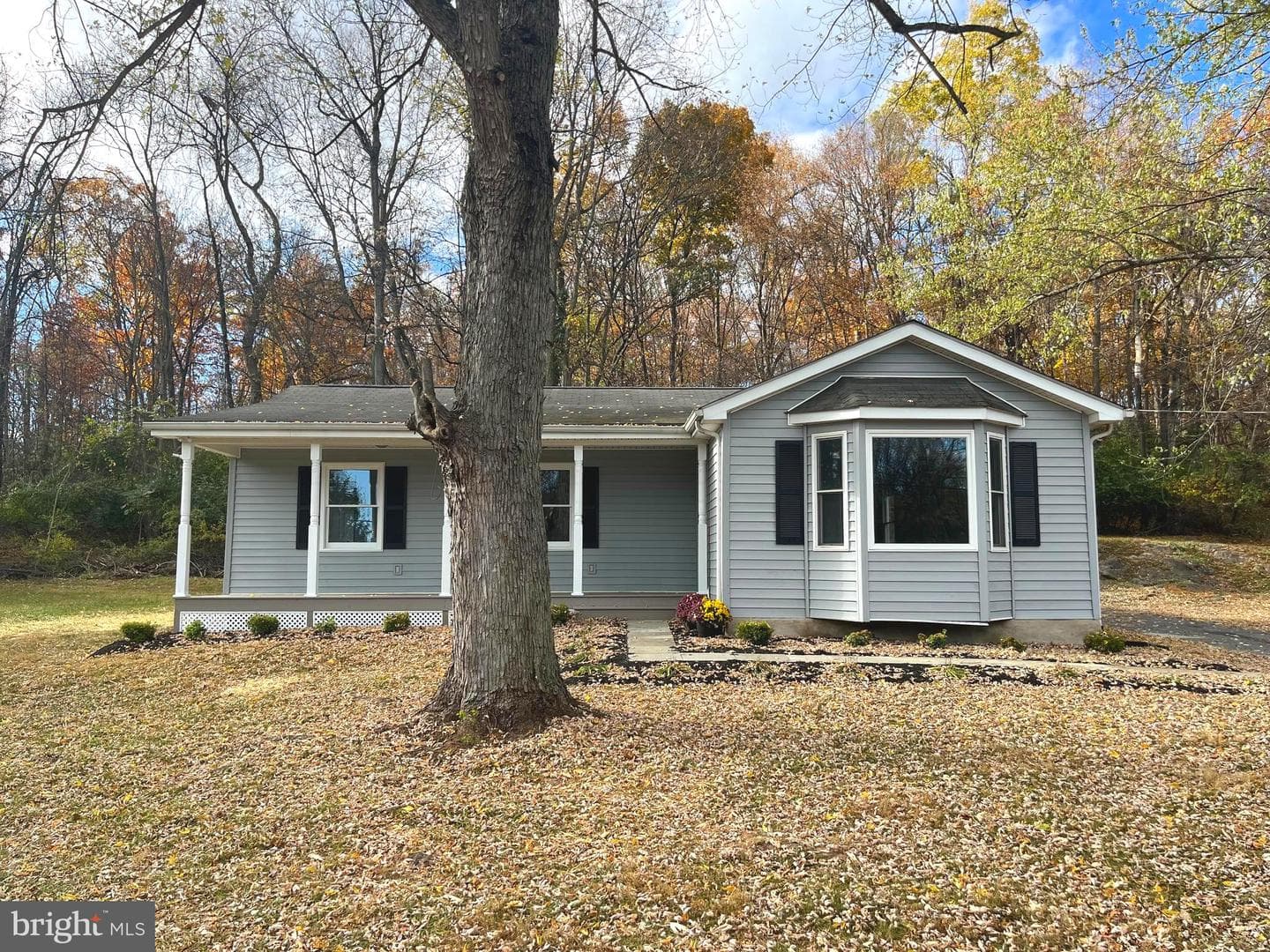 435 Orchard Dale Drive photo 2