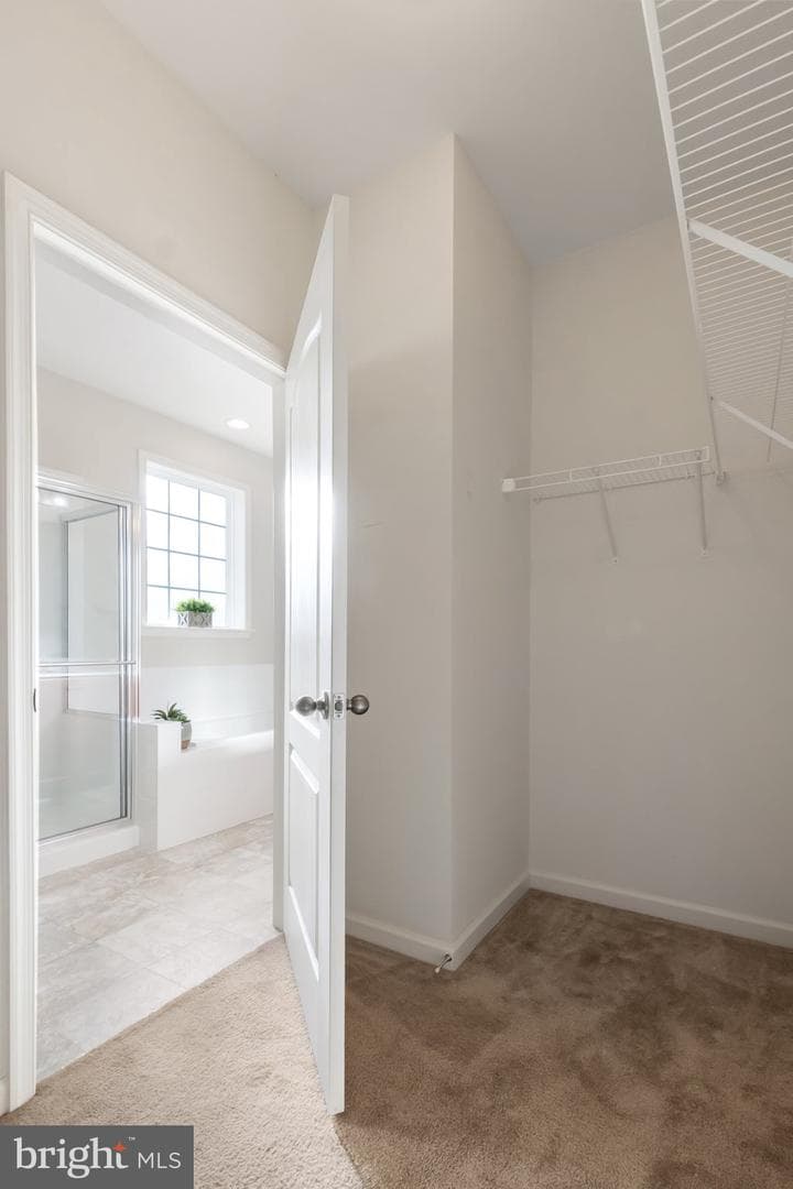 109 Bluets Drive photo 33