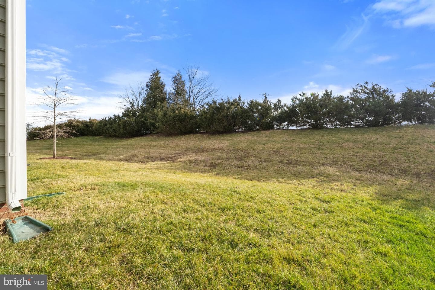 109 Bluets Drive photo 43