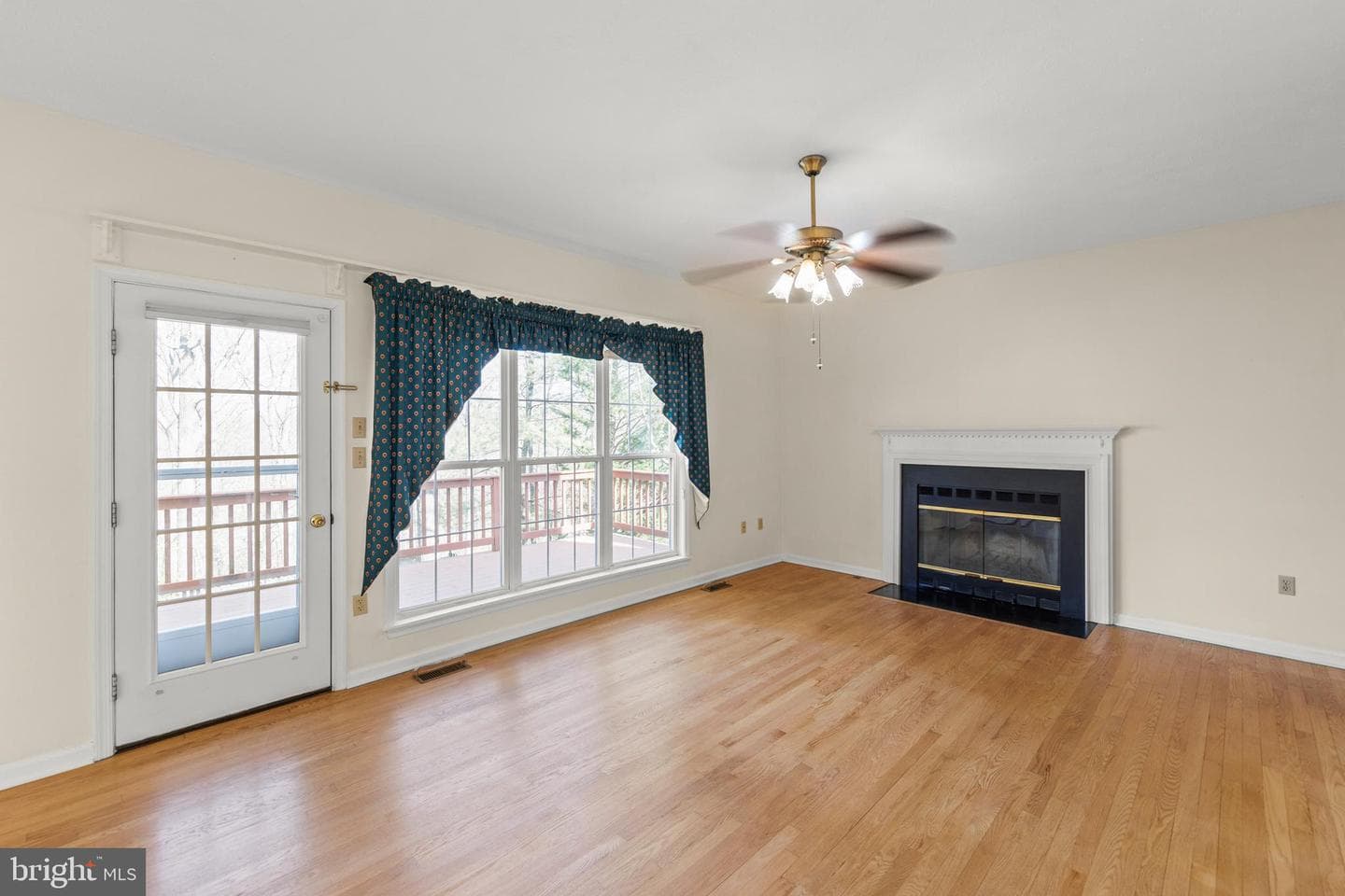 207 Cavalry Drive photo 16