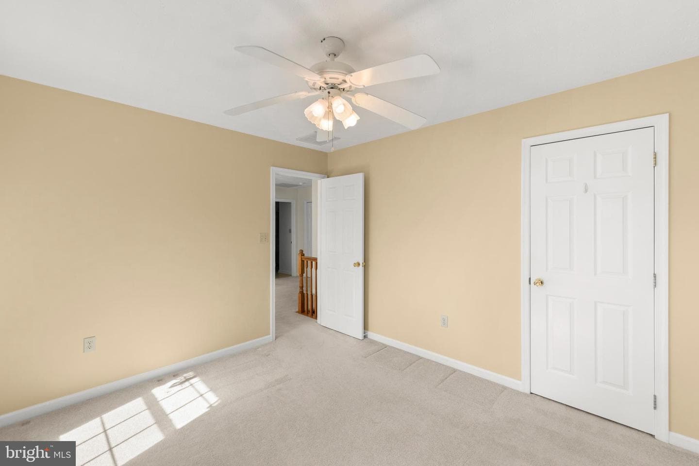 207 Cavalry Drive photo 28