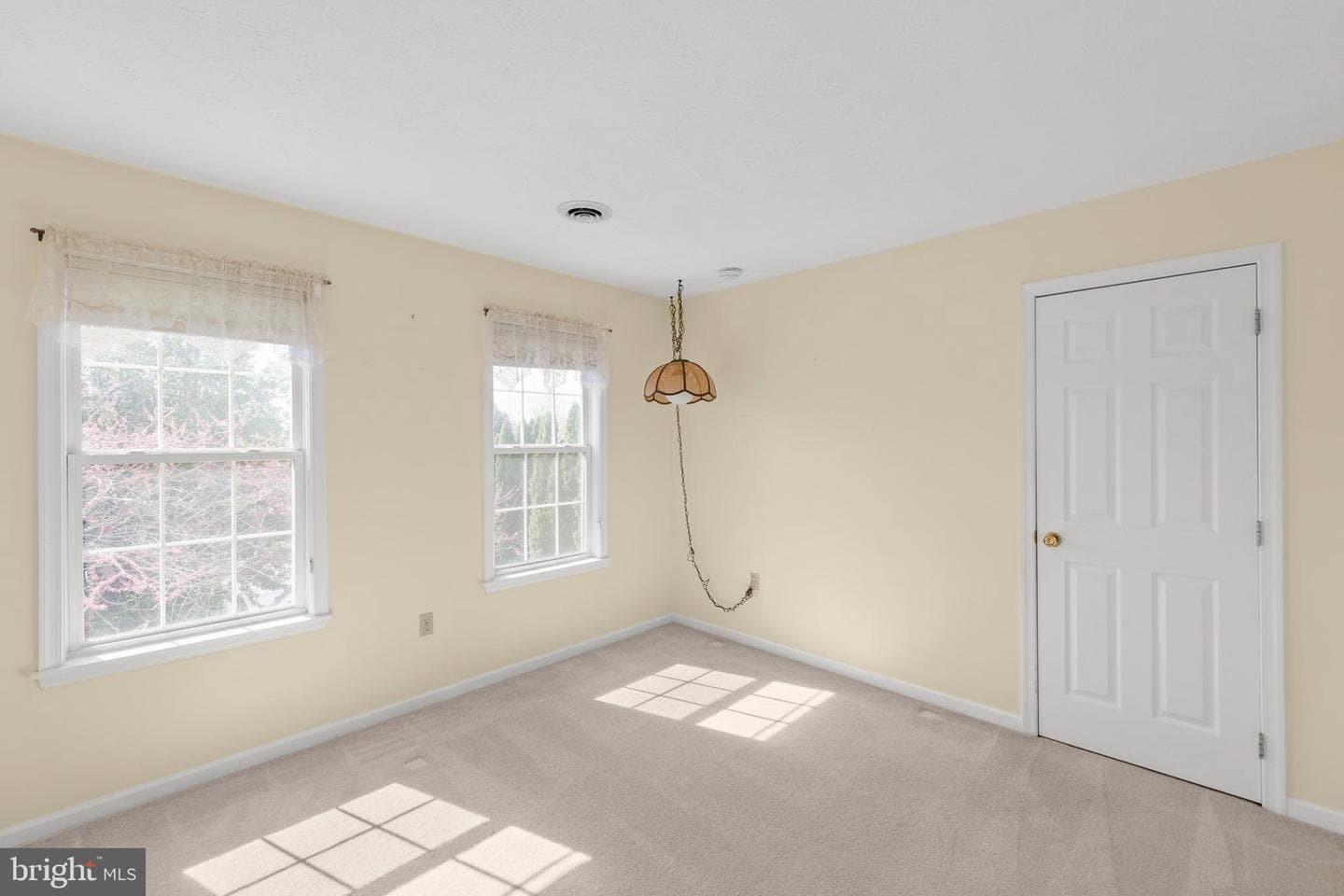 207 Cavalry Drive photo 29